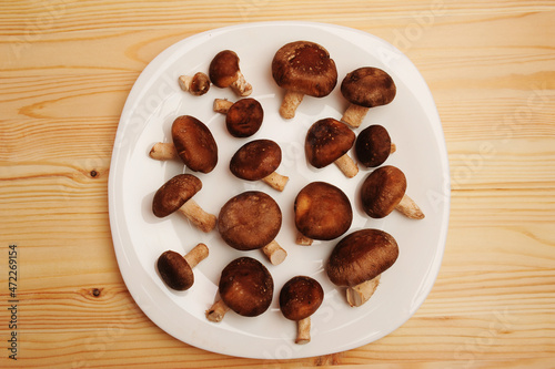 Raw shiitake mushrooms on a white plate, top view