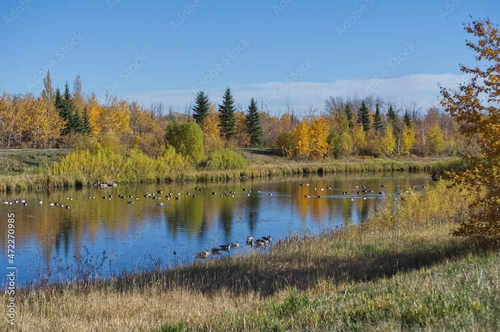 Pylypow Wetlands on an Autumn Day Pylypow Wetlands on an Autumn Day