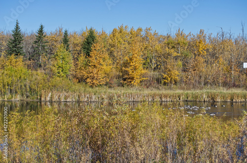 Pylypow Wetlands on an Autumn Day