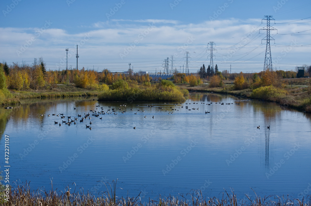 Pylypow Wetlands on an Autumn Day