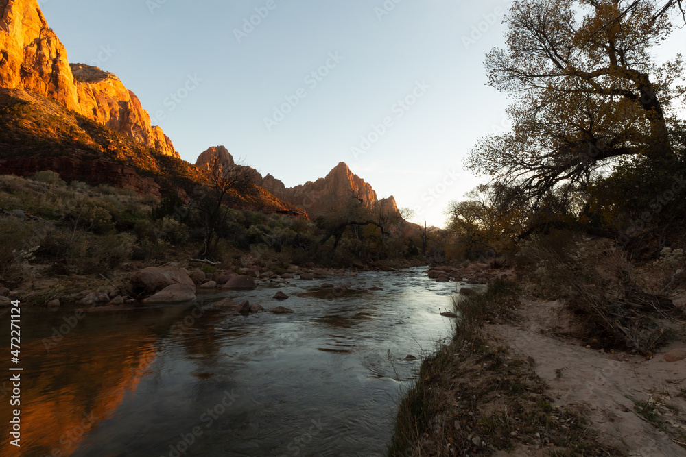 The orange sandstone cliffs of Zion National park Utah reflect the evening sunlight and are reflected in the Virgin river while autumn yellow cottonwood trees line the other bank of the river.