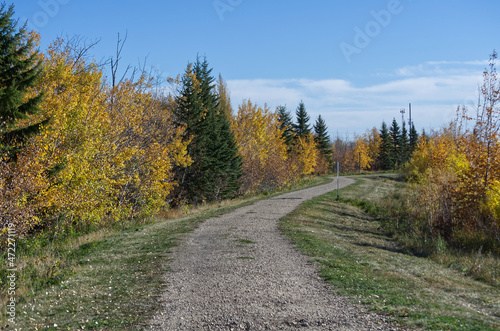 A Hiking Trail at Pylypow Wetlands in Autumn