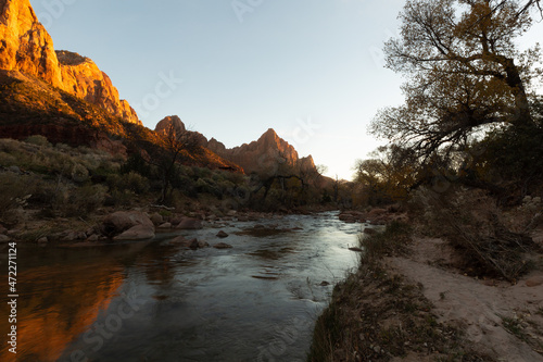 The orange sandstone cliffs of Zion National park Utah reflect the evening sunlight and are reflected in the Virgin river while autumn yellow cottonwood trees line the other bank of the river.