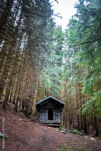 Small wooden cabin in a dark fir forest
