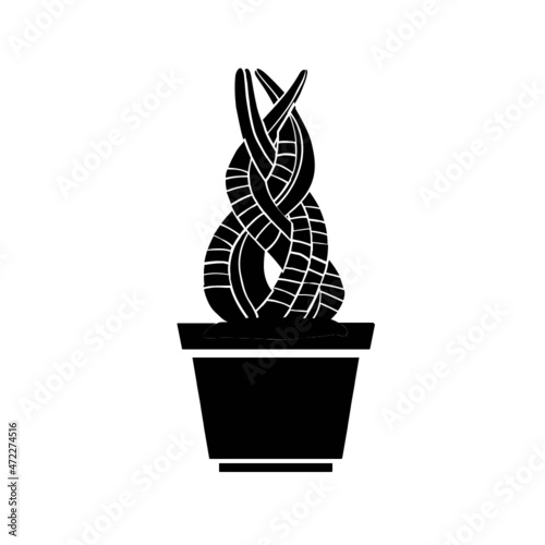 Pflanze Blume