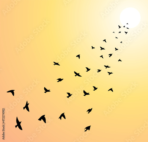 vector flock of flying birds towards bright sun