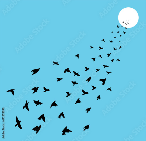 vector flock of many birds flying towards sun