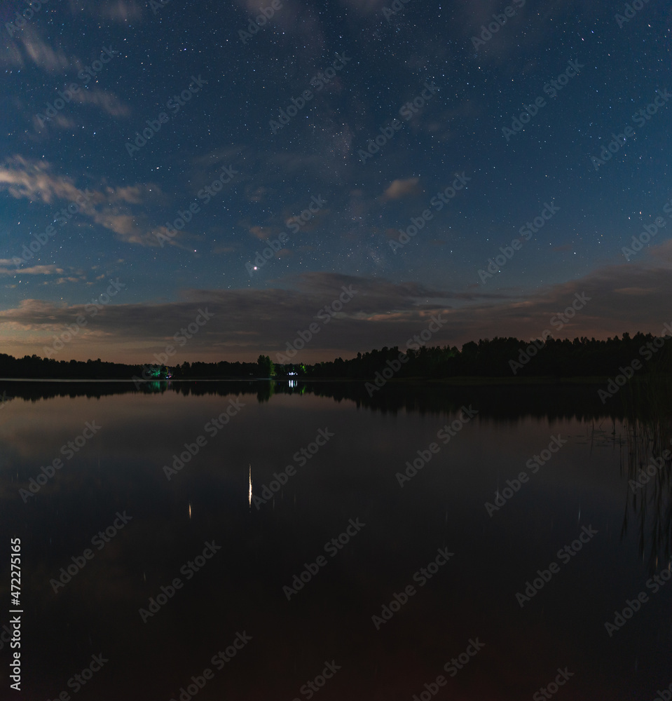 Lake by the forest under the starry summer sky in the moonlight