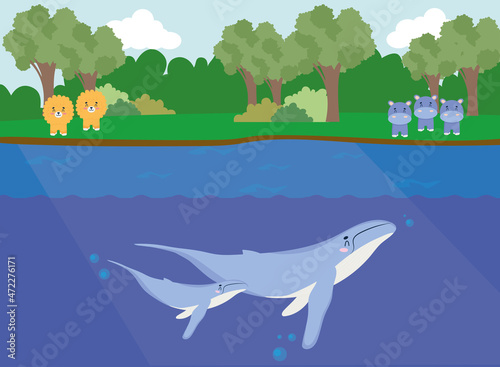 baby animals illustration