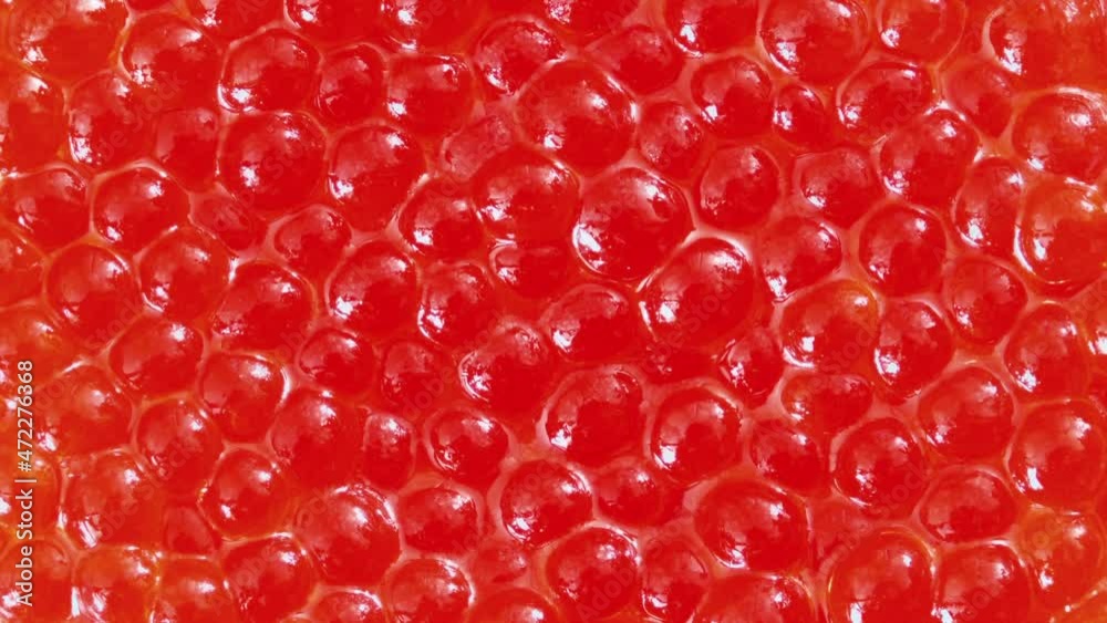 Caviar red fish salmon close-up rotating. Caviar red fish salmon close-up rotating.