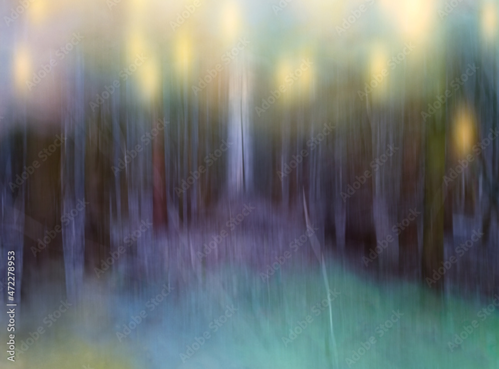 Fototapeta Paranormal blur stranger autumn forest for horror background