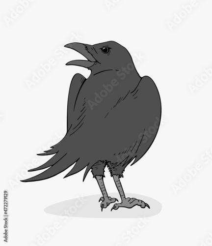Crow illustration design
