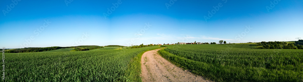 Green field and clear blue sky panorama