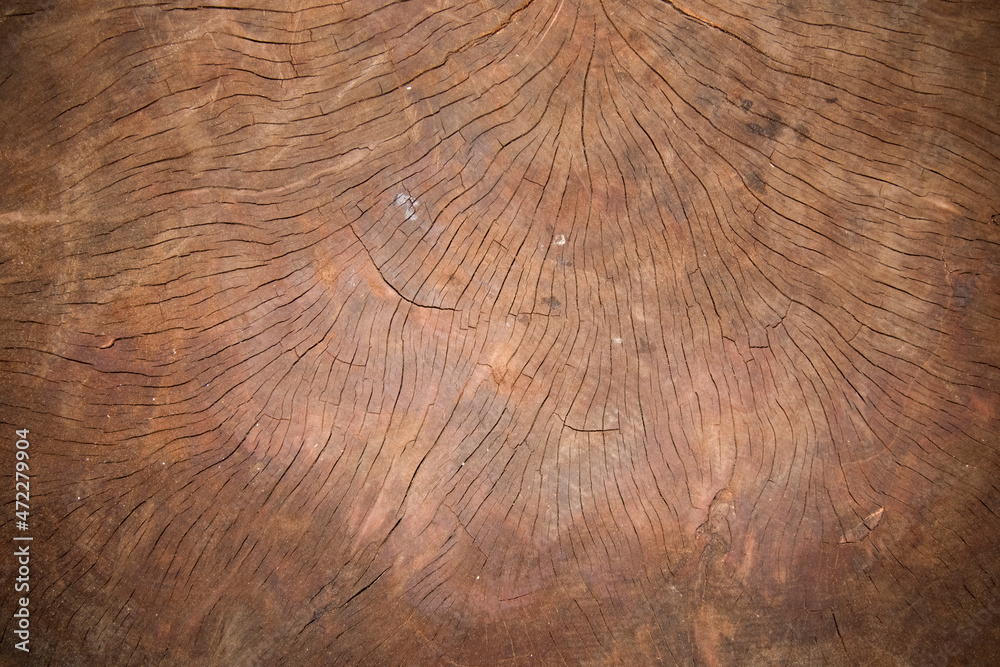 Naklejka premium surface Wood texture background, old wood texture pattern