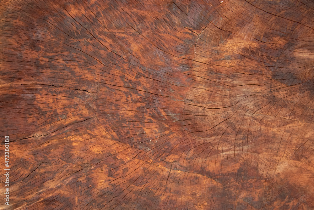 Naklejka premium surface Wood texture background, old wood texture pattern