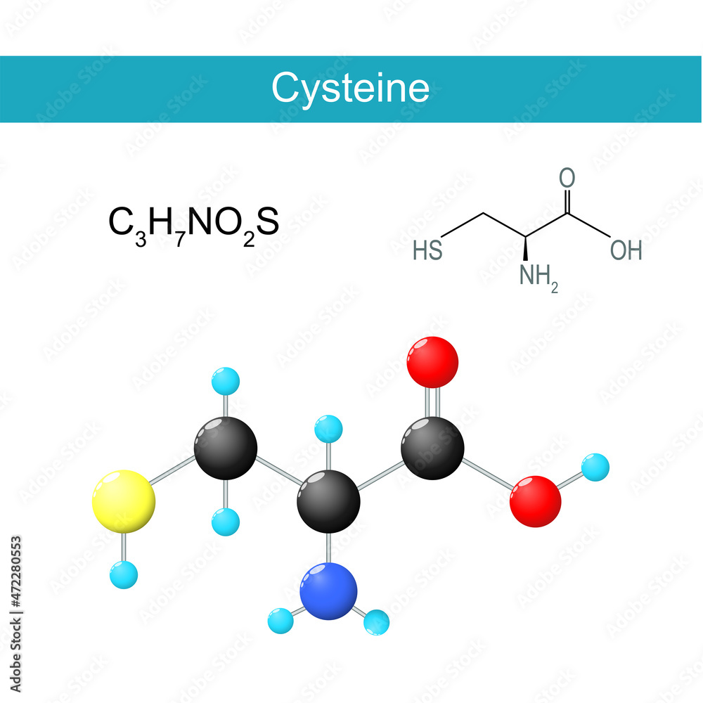 Glycine molecular Chemical structural formula Glycine molecular Chemical structural formula
