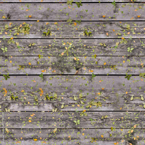 old wooden background with leaf