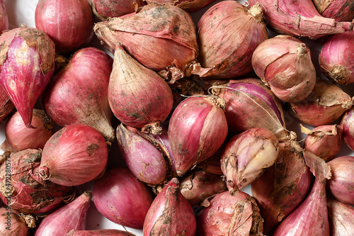 the onion group is taken at a high angle