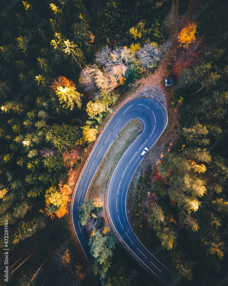 Aerial view of colorful forest in autumn with road cutting through