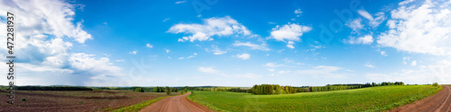 summer green field panorama