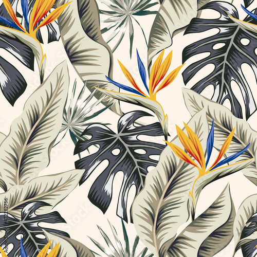 Tropical strelitzia flowers, monstera, banana palm leaves, light background. Vector seamless pattern. Jungle foliage illustration. Exotic plants. Summer beach floral design. Paradise nature photo