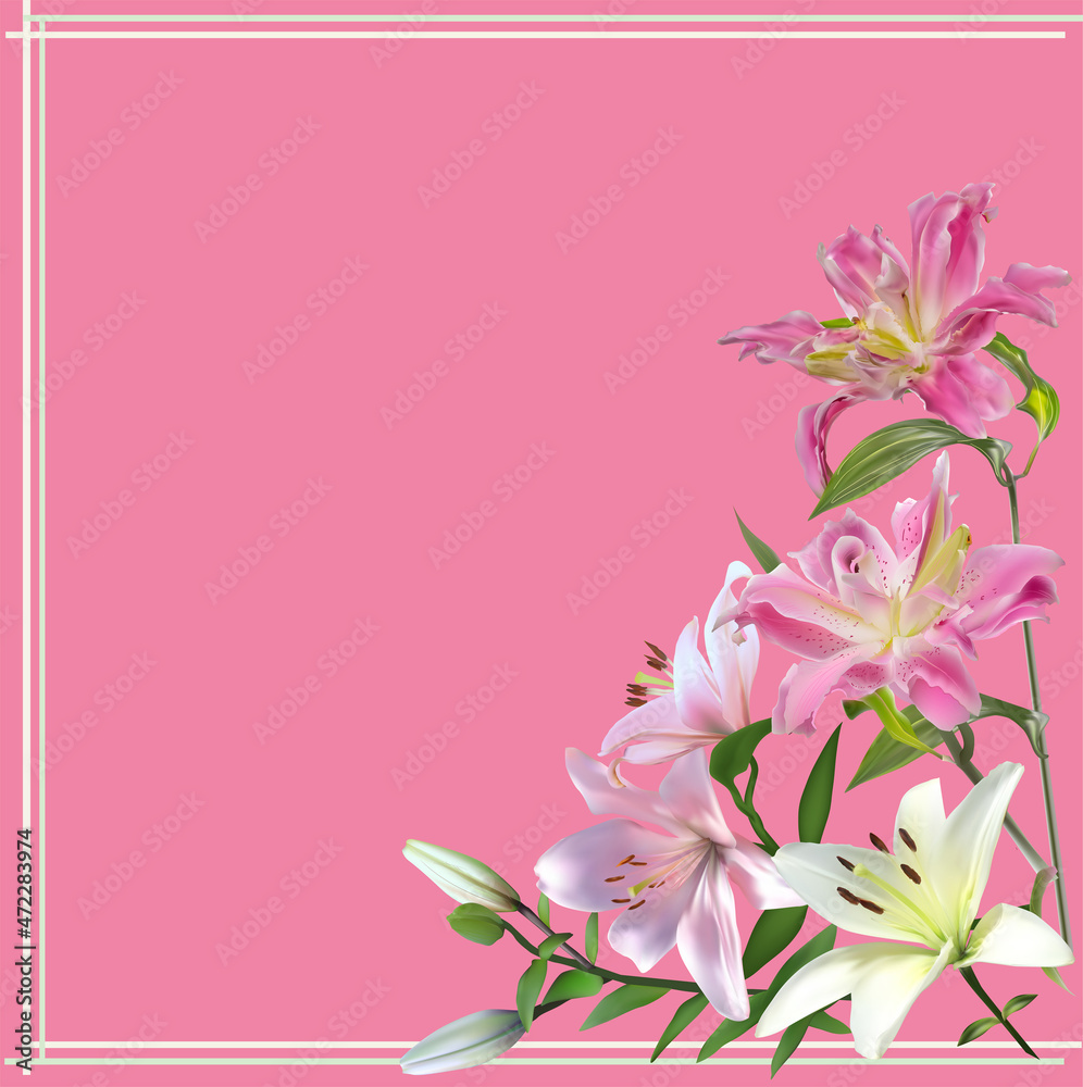 isolated on pink lilies corner