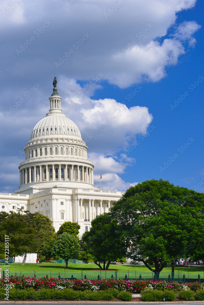 Fototapeta premium US Capitol Building - Washington DC United States
