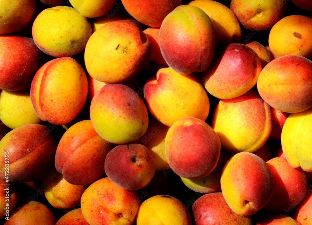 Juicy and ripe fruits. Bowl of peaches Juicy and ripe fruits. Bowl of peaches