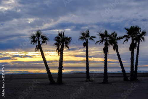 Calm Beach with six palms in sunset coastline