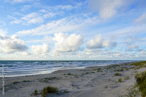 Fototapeta Naklejka Na Ścianę i Meble -  sandy baltic sea beach in cloudy weather