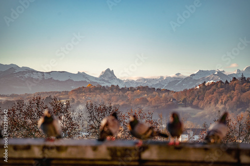Sunrise over the Pyrénées and Pic du Midi d'Ossau in Pau, Boulevard des Pyrénées, France