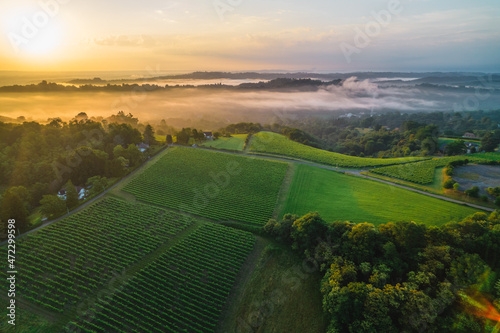 Sunrise over Jurançon vineyards, France