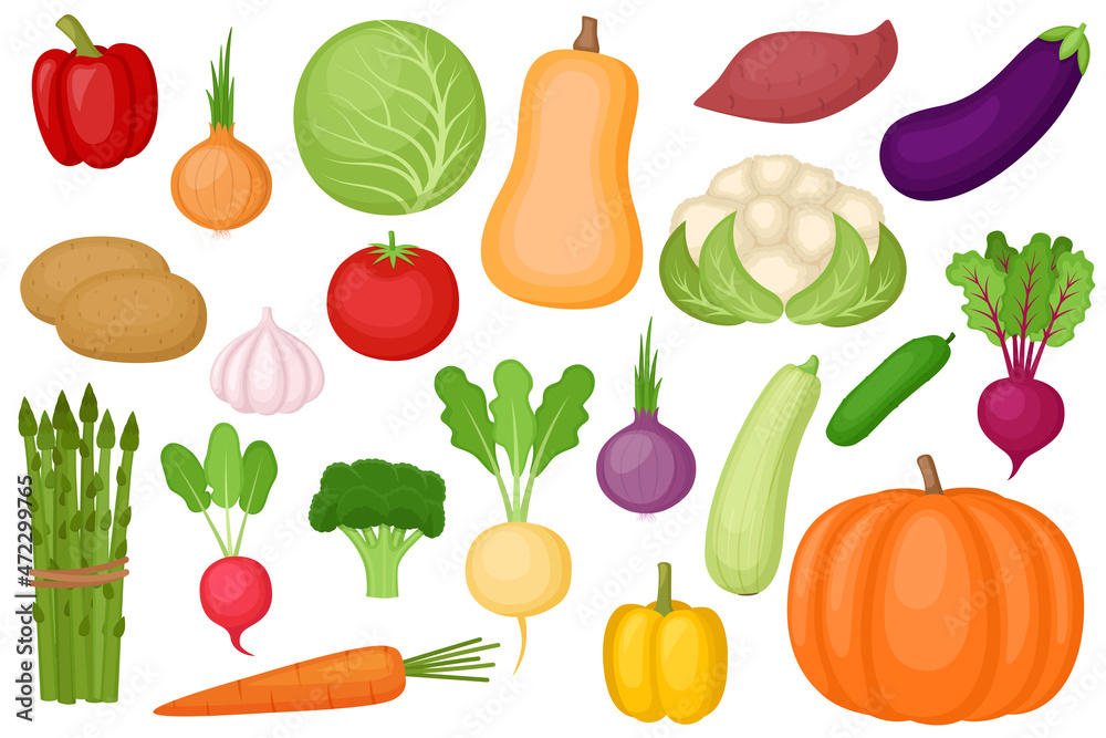 Set of fresh ripe vegetables, vector illustration