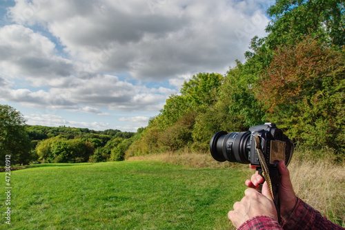 Green clearing, summer landscape, male hands holding the camera