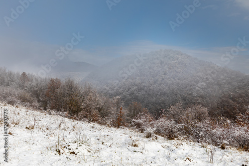Winter in Croatia. Snow. Fog.