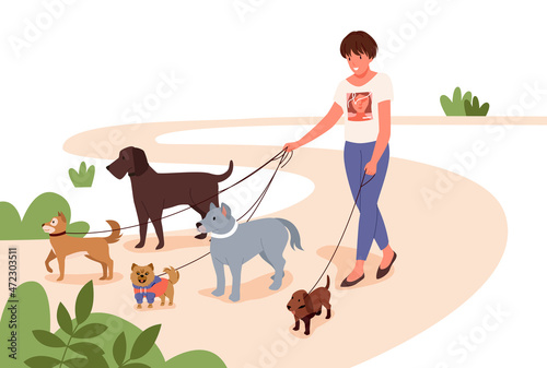 Cartoon girl puppy owner or volunteer on outdoor walk with animals on leashes. Dogwalker, pet care, veterinary concept. Woman walking with many dogs breeds together in city park vector illustration