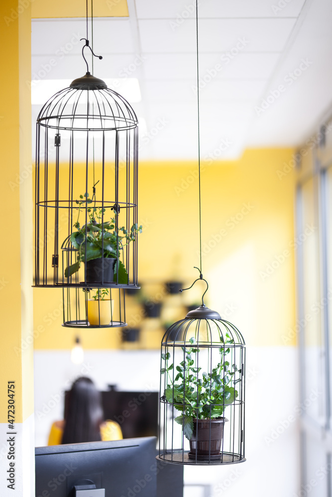 Decorative birdcage hanging in a modern coworking office. Plants inside.
