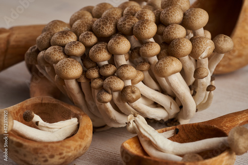 Brown shimeji mushrooms closeup photo