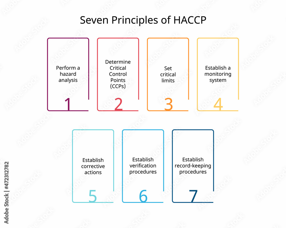 7 Principles For Haccp Or Hazard Analysis Critical Control Points Stock