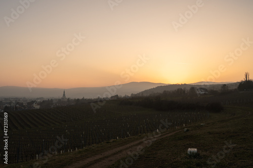 sunset over the vineyards