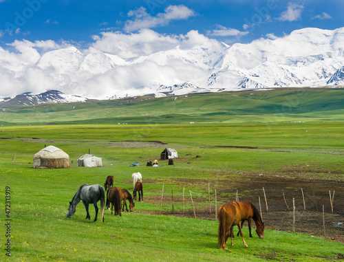 Traditional yurt in the Alaj valley with the Transalai mountains with Pik Kurumdy (6614) in the background. The Pamir Mountains. Central Asia, Kyrgyzstan
