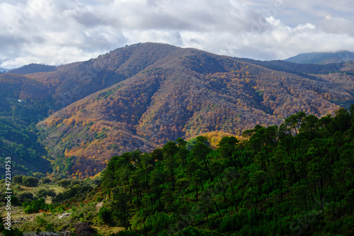 Obraz na płótnie montaña de colores w salonie