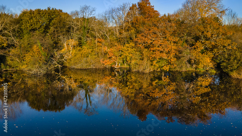 Atumn colours by the lake near Steyning, West Sussex, UK.