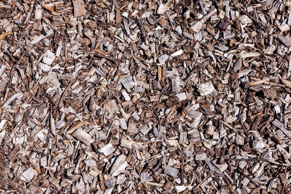 Wood chip bark chippings having been shredded for use as a garden mulch by the lumber timber industry which can be used as an abstract texture background, stock photo image Wood chip bark chippings having been shredded for use as a garden mulch by the lumber timber industry which can be used as an abstract texture background, stock photo image