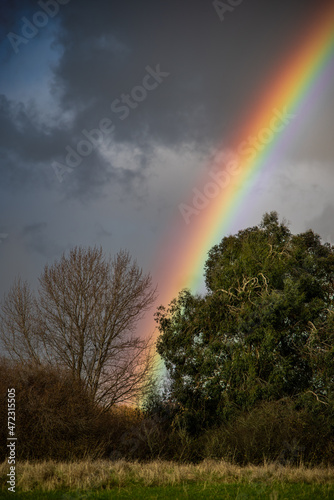 Bright rainbow after the rain on a farm land, West Sussex, UK