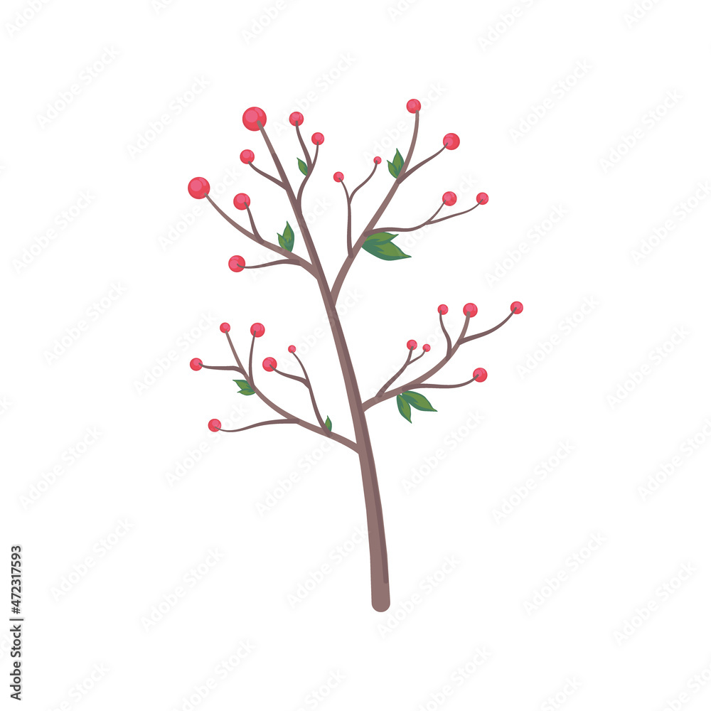 mistletoe branch with berries mistletoe branch with berries