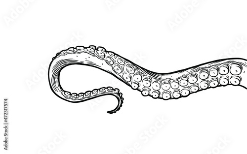 Tentacles of octopus  vector hand drawn collection of illustrations. Black and white engraving style drawings. Tentacle straight and with rings in different angles.