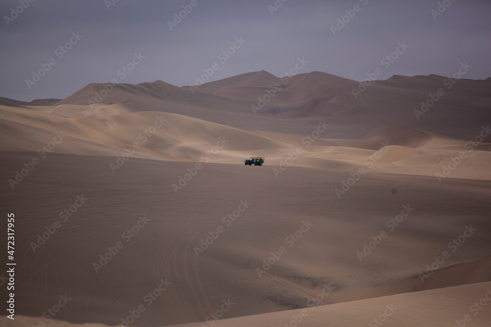 DESIERTO EN BUGGIE