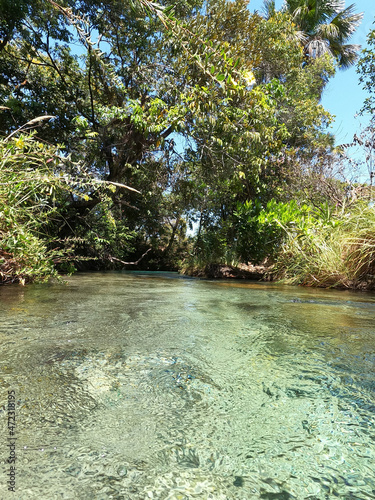 river in the woods