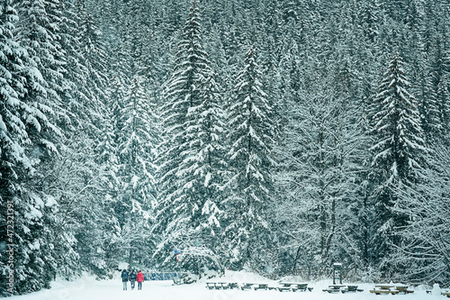 View of the nearby mountains follows the road to the Sea Eye in winter, Zakopane
